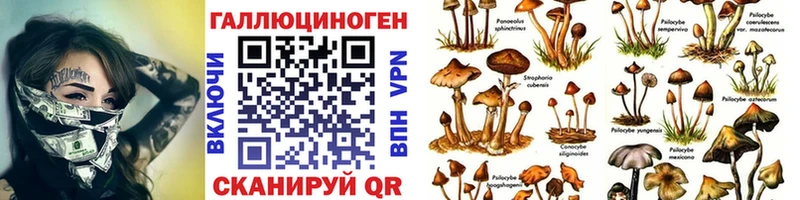 Псилоцибиновые грибы прущие грибы  Самара 